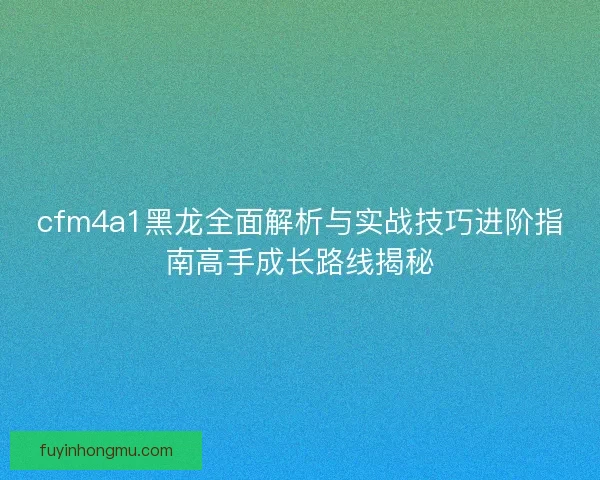 cfm4a1黑龙全面解析与实战技巧进阶指南高手成长路线揭秘