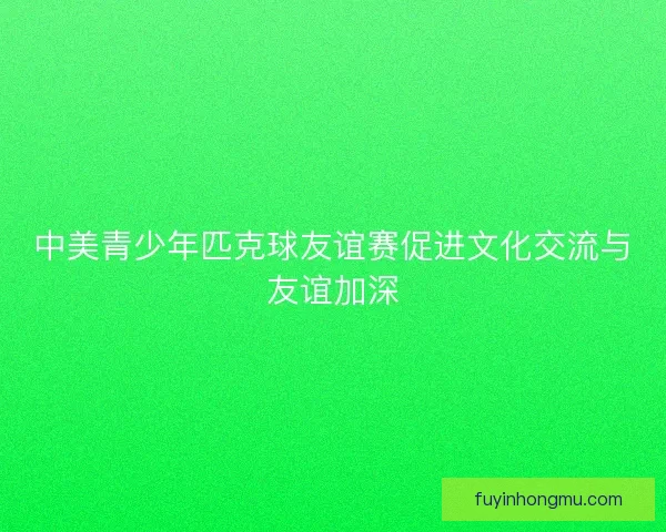中美青少年匹克球友谊赛促进文化交流与友谊加深
