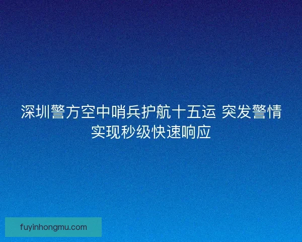 深圳警方空中哨兵护航十五运 突发警情实现秒级快速响应 深圳警方空中哨兵护航十五运 突发警情实现秒级快速响应